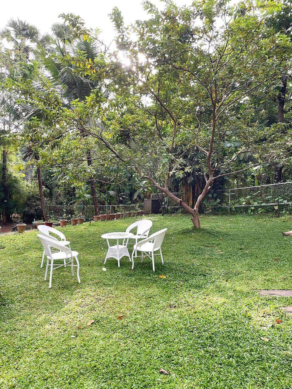 Garden chairs beneath the trees