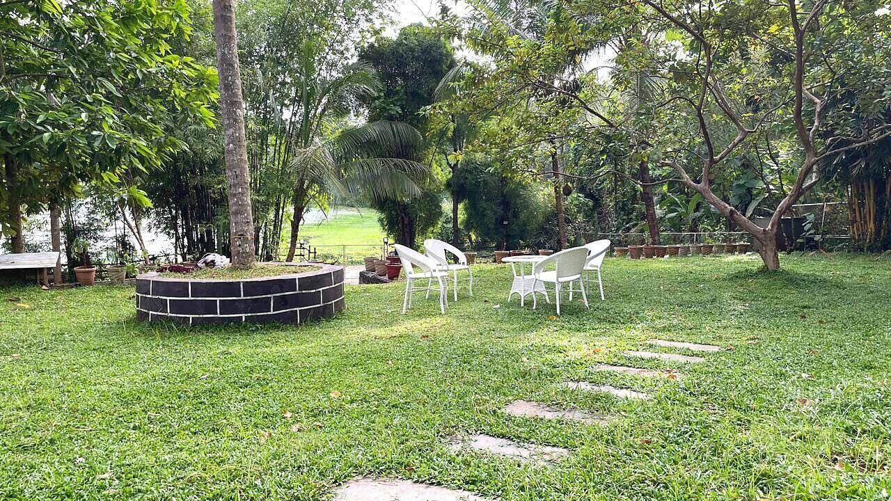 Lawn seating amidst coconut palms